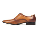 Perforated Derby // Brown (Euro: 42)