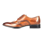 Leather Wingtip Full Brogue Derby // Brown (Euro: 43)