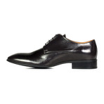 Shiny Perforated Toe Derby // Black (Euro: 40)