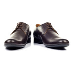 Shiny Plain Toe Derby // Brown (Euro: 41)