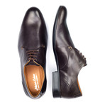 Shiny Plain Toe Derby // Brown (Euro: 41)