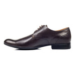 Shiny Plain Toe Derby // Brown (Euro: 41)