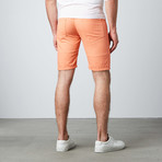 Marty Skinny Fit Shorts // Salmon (35)