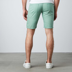 Marty Skinny Fit Shorts // Mint Green (27)