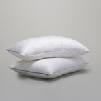 ECOSHEEX Down Alternative Pillow (Standard // Stomach/Back)