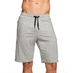 Trainer Short // Gray Marle (XS)