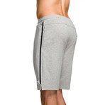 Trainer Short // Gray Marle (XS)