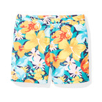 Honolulu Swim Trunks // Multicolor (29)