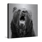 Hear Me Roar // Painting Print on Brushed Aluminum (18"W x 18"H x 1.5"D)