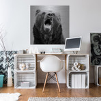 Hear Me Roar // Painting Print on Brushed Aluminum (18"W x 18"H x 1.5"D)