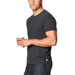 Swarts S/S Crew Neck Supima Stripe // Stretch Limo (2XL)