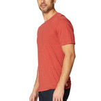 Swarts S/S Crew Neck Supima Stripe // Tandori Spice (L)