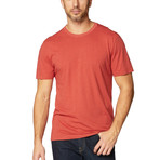 Swarts S/S Crew Neck Supima Stripe // Tandori Spice (L)