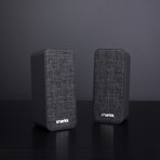 Twins Dual Bluetooth Speakers