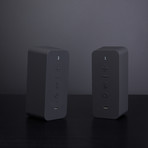 Twins Dual Bluetooth Speakers