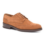 Suede Wingtip Derby // Tan (Euro: 43)