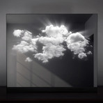 LUCID Portrait // Cloud