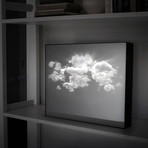 LUCID Portrait // Cloud