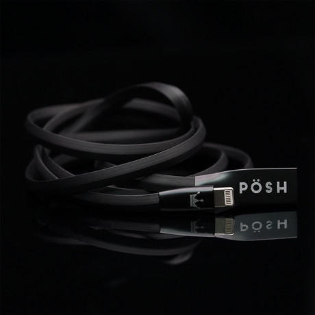 Charge + Sync Cable // Absolute Black (Apple Lightning // 3.3 ft)