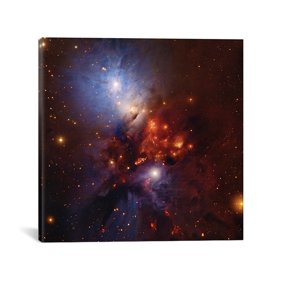 Robert Gendler - Intergalactic Images on Canvas - Touch of Modern