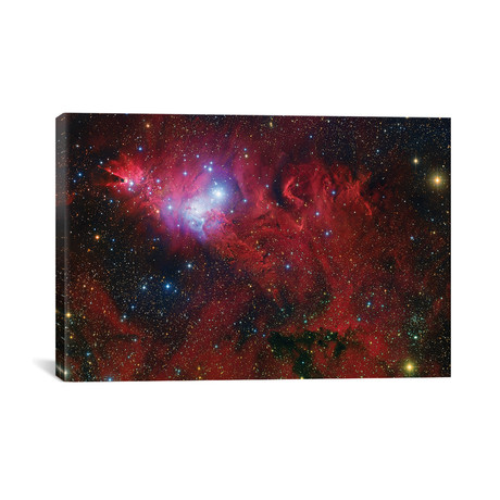 Cone Nebula Mosaic (26"W x 40"H x 0.75"D)