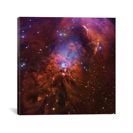 Emission & Reflection Nebula In Orion II (NGC 1999) (18"W x 18"H x 0.75"D)