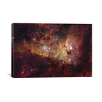 Eta Carinae Mosaic (18"W x 26"H x 0.75"D)