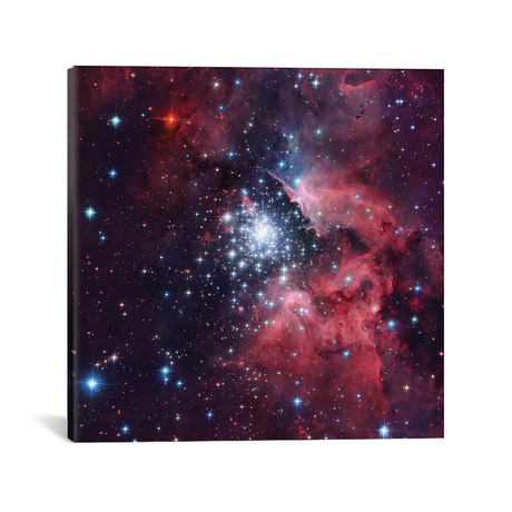 Giant HII Cloud And Its Massive Cluster HD97950 (NGC 3603) (18"W x 18"H x 0.75"D)
