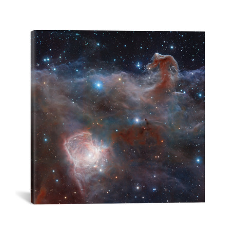 Horsehead Nebula Region In Infrared Light (18"W x 18"H x 0.75"D)