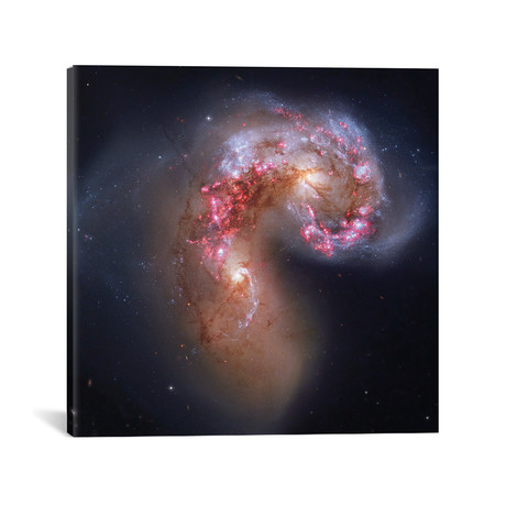Interacting Galaxies In Corvus I (NGC 4038) (18"W x 18"H x 0.75"D)