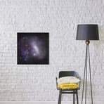 Large Magellanic Cloud Mosaic (18"W x 18"H x 0.75"D)