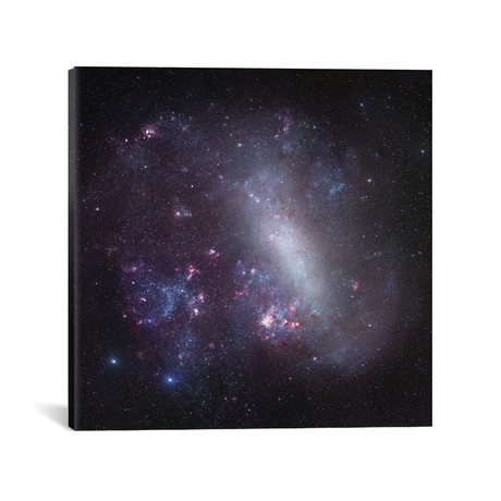 Large Magellanic Cloud Mosaic (18"W x 18"H x 0.75"D)