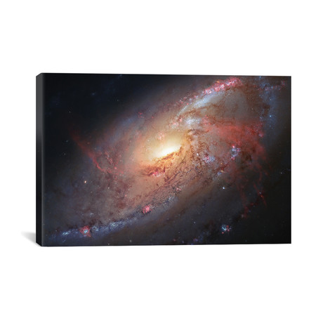M106, Spiral Galaxy In Canes Venatici II (18"W x 26"H x 0.75"D)