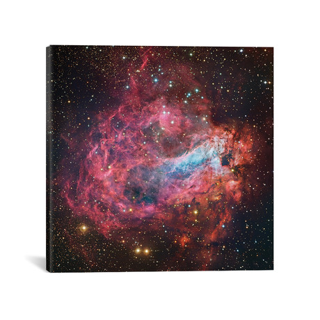 M17, Swan, Omega, Horseshoe, Lobster Nebula (NGC 6618) (18"W x 18"H x 0.75"D)