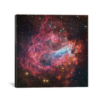 M17, Swan, Omega, Horseshoe, Lobster Nebula (NGC 6618) (18"W x 18"H x 0.75"D)