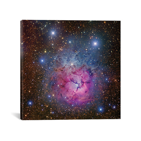 M20, Trifid Nebula I (18"W x 18"H x 0.75"D)