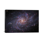 M33, The Triangulum Galaxy (18"W x 26"H x 0.75"D)