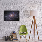 M33, The Triangulum Galaxy (18"W x 26"H x 0.75"D)