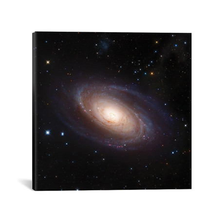 M81, Spiral Galaxy In Ursa Major II (18"W x 18"H x 0.75"D)