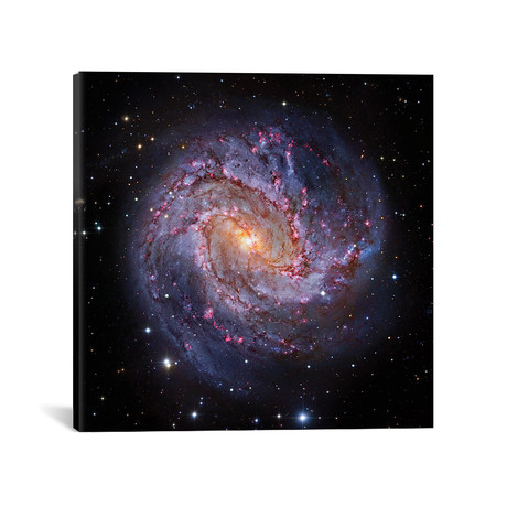 M83, Spiral Galaxy In Hydra I (18"W x 18"H x 0.75"D)
