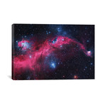 Seagull Nebula (IC 2177) I (18"W x 26"H x 0.75"D)