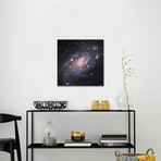 Spiral Galaxy In Camelopardalis (NGC 2403) II (18"W x 18"H x 0.75"D)
