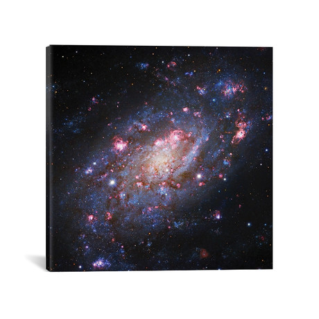 Spiral Galaxy In Camelopardalis (NGC 2403) II (18"W x 18"H x 0.75"D)