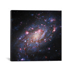 Spiral Galaxy In Camelopardalis (NGC 2403) II (18"W x 18"H x 0.75"D)