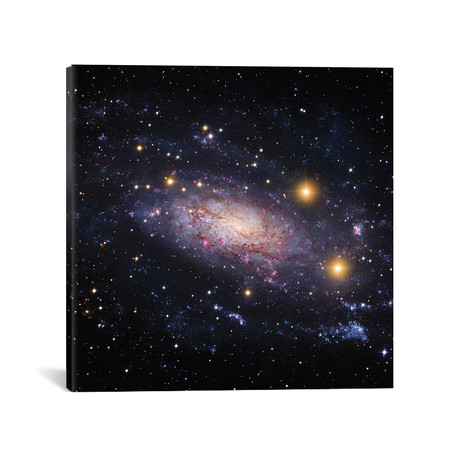 Spiral Galaxy In The Hydra Constellation (NGC 3621) (18"W x 18"H x 0.75"D)