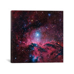 Star Forming Region In Ara (NGC 6188) II (18"W x 18"H x 0.75"D)