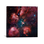 The Cat Paw Nebula (NGC 6334) (18"W x 18"H x 0.75"D)