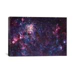 The Tarantula Nebula Mosaic (NGC 2070) (18"W x 26"H x 0.75"D)