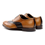 Full Brogue // Cognac + Brown (US: 7)