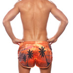 Sunset Shorts // Orange (Medium)